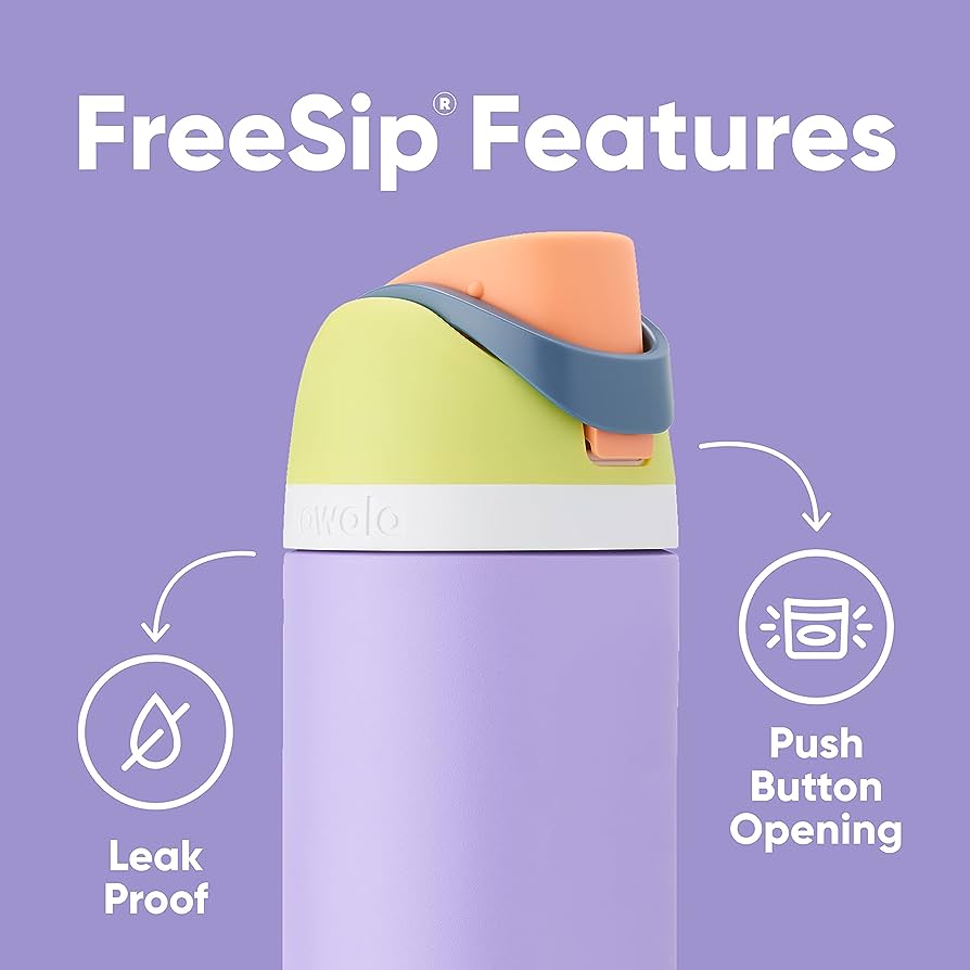 Owala FreeSip Bottle 24oz - Water In The Desert